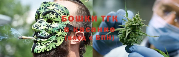 ECSTASY Алзамай