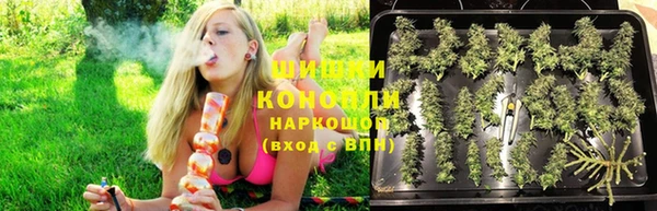 ECSTASY Алзамай