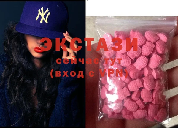 ECSTASY Алзамай