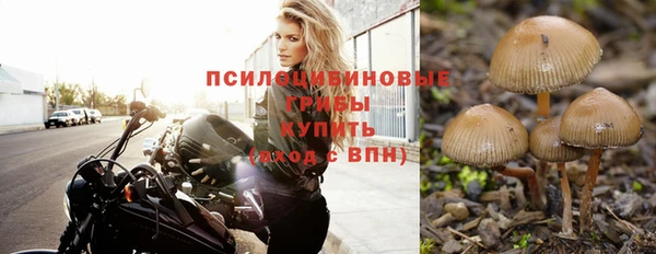 индика Алексеевка
